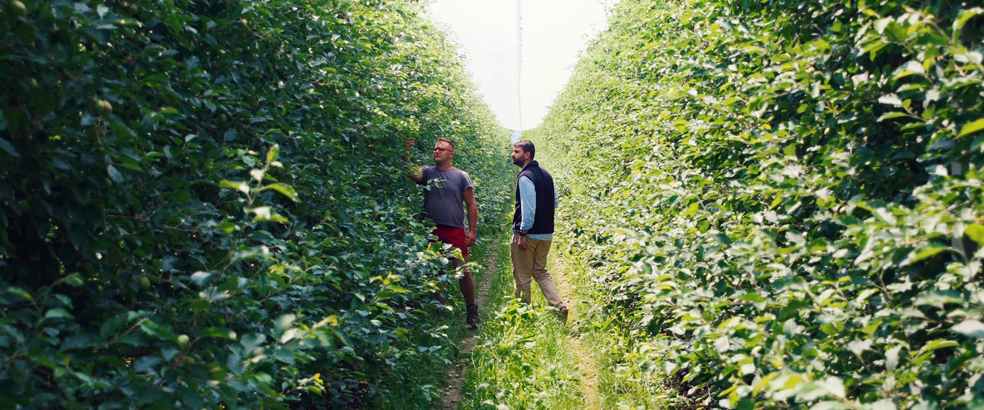 Un Equipo Experto que acompaña tu crecimiento