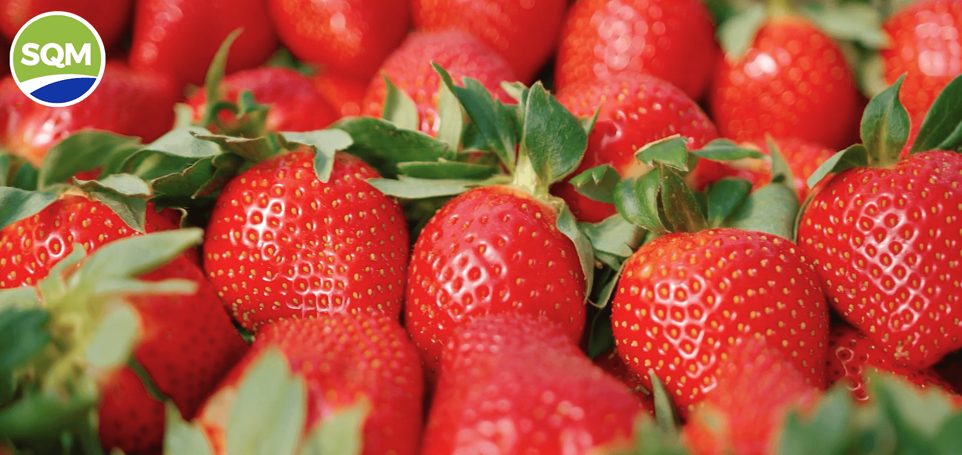 Captura de pantalla 2025-08-01 112736