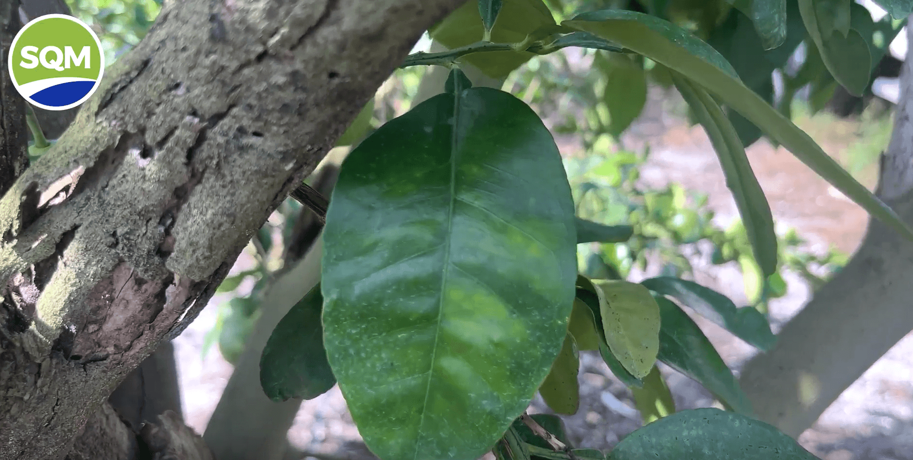 Captura de pantalla 2025-08-01 113021