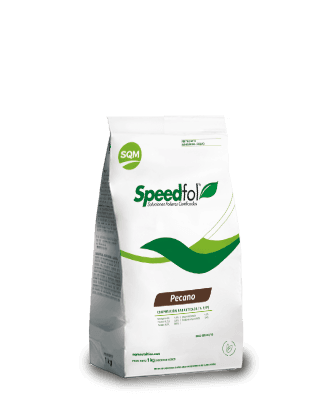 Saco-Speedfol-Pecano-3D-1