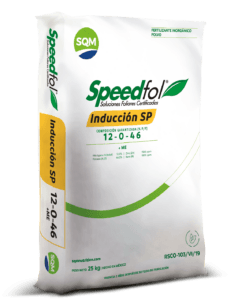 Saco-Speedfol-induccion-SP-3D-1