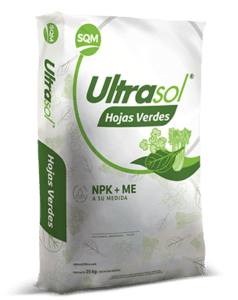 Saco-Ultrasol-Hojas-Verdes-3D-1