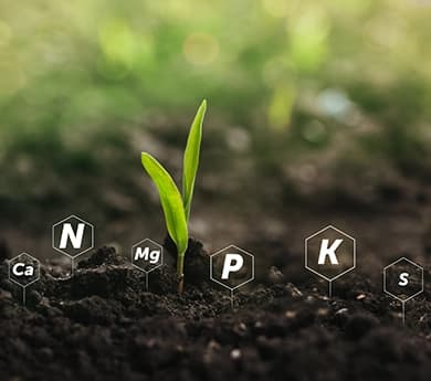 Macronutrientes-Desktop