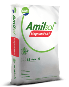Amisol Magnum P44 COL 3D 25kg