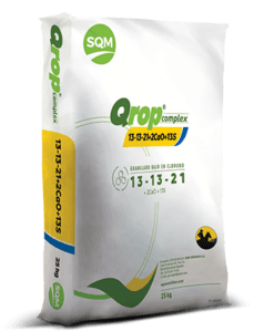 Qrop-Complex-13-13-21-IB