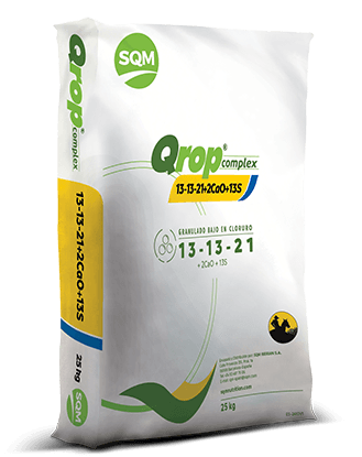 Qrop-Complex-13-13-21-IB