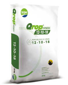 Qrop-complex-12-10-18-IB