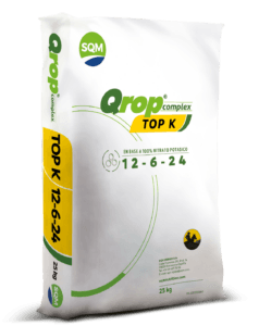 Qrop-complex-TOP-K-IB