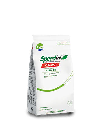 Saco-1kg-CORP-Speedfol-Colour-SP-PE-3D