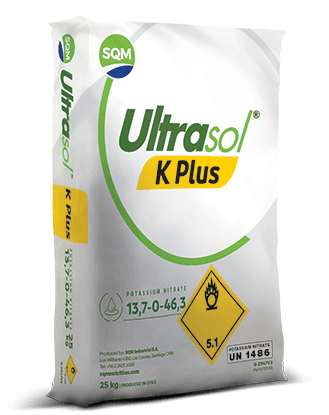 Ultrasol-K-Plus-25kg-EU