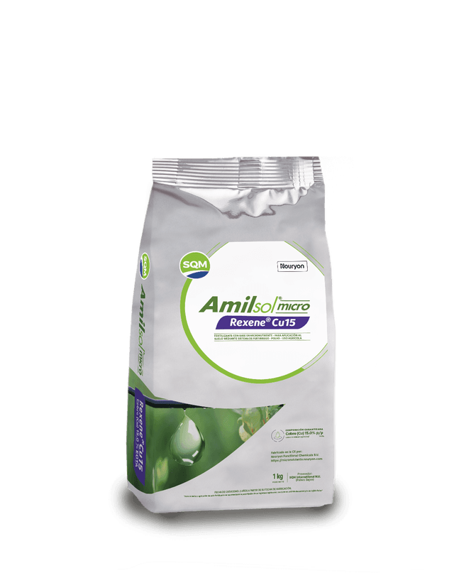 Amilsol-micro-Rexene-Cu15-COL-3D-1kg