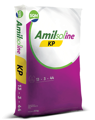 Amilsoline-COL-3D-25kg