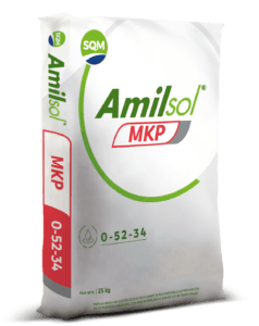 Amisol-MKP-COL-3D-25kg