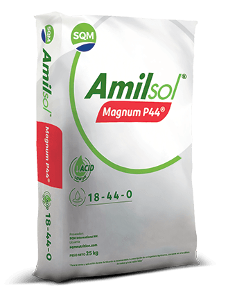 Amisol-Magnum-P44-COL-3D-25kg
