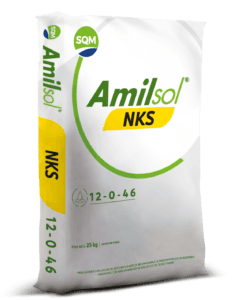 Amisol-NKS-COL-3D-25kg