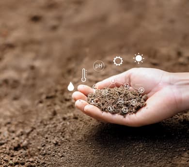 Eficiencia-de-Nutrientes-Desktop