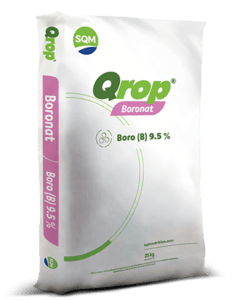 Qrop-Boronat-COL-3D-25kg