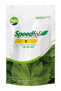 Saco 1kg CORP Speedfol K IND 3D