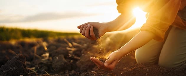 Banner-Soluciones-HOME