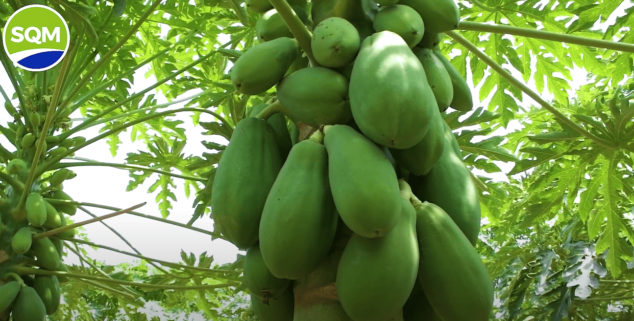 Captura de pantalla 2025-07-17 164630