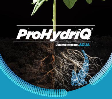 pro-hydriq