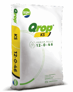 saco 25kg CORP QROP KS AFRICA