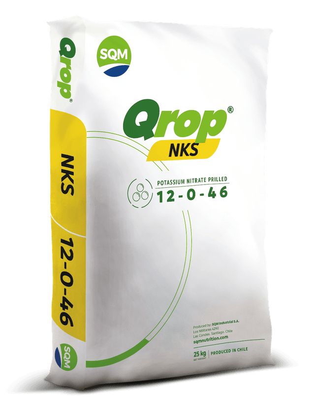 saco 25kg CORP QROP NKS Africa