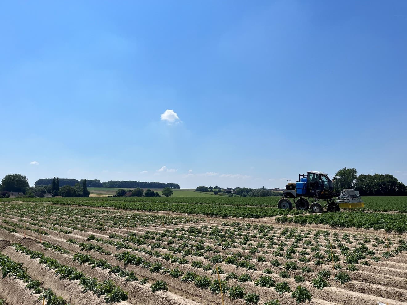 Trial Belgium_Image1