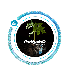 eficiencia-en-el-uso-del-agua