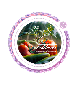 linea-anti-stress