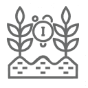 Proporciona la cantidad óptima de Yodo al cultivo