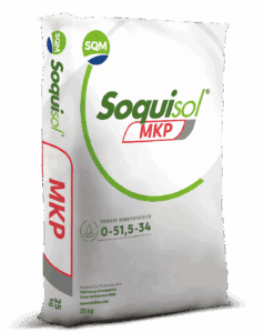 Saco 25kg Soquisol MKP – BR 3D (1)
