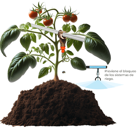 ¿Cómo funciona la tecnología magnum?