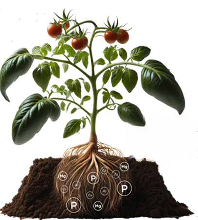 How does PROP® technology work?