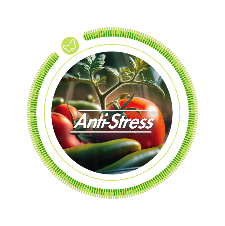 logo-anti-stress