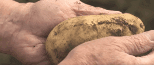 Captura de pantalla 2025-07-29 110622