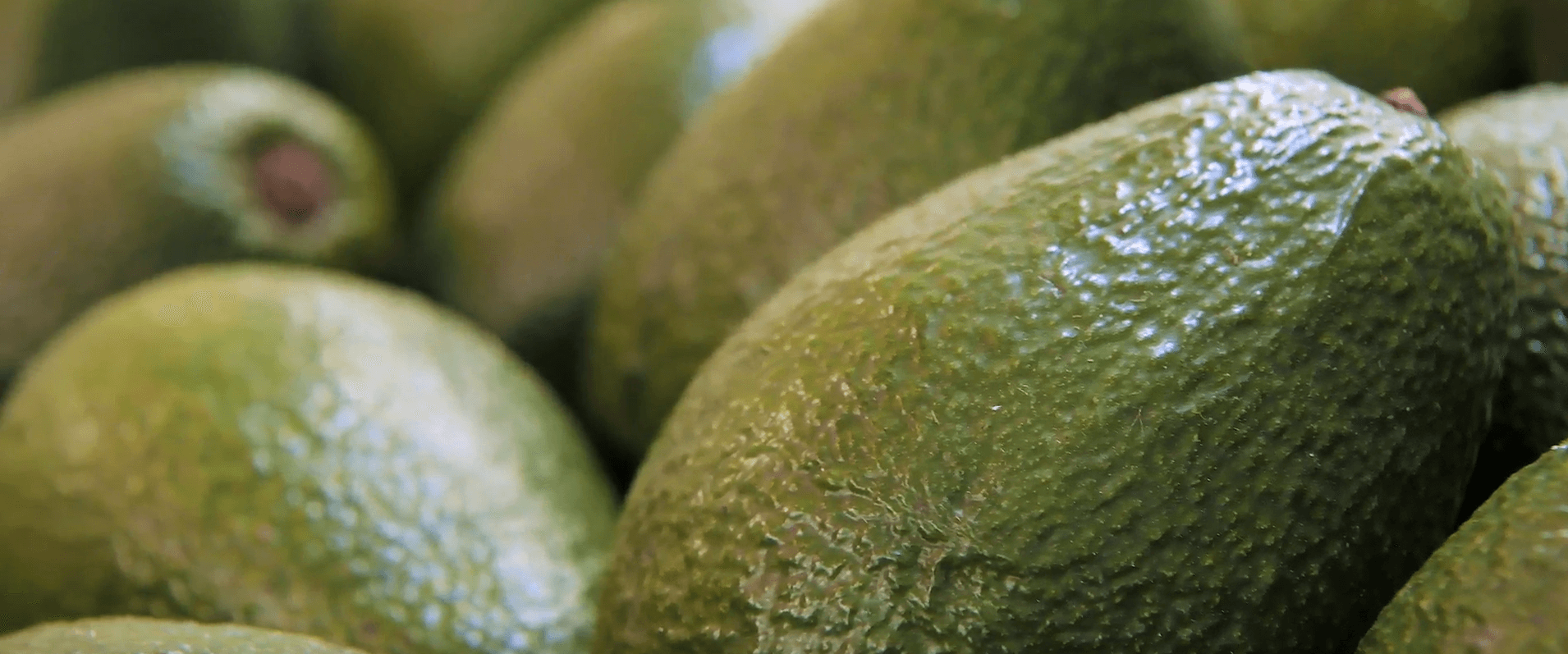 Captura de pantalla 2025-07-29 111128