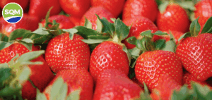 Captura de pantalla 2025-08-01 112736