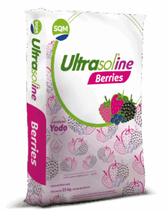 Saco 25Kg CORP Ultrasoline Berries MX 3D (3)