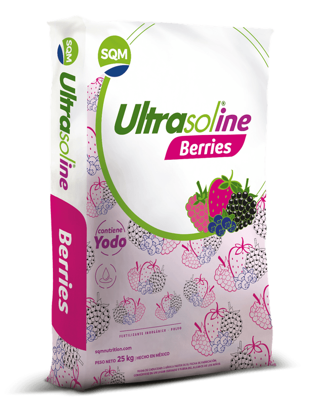 Saco 25Kg CORP Ultrasoline Berries MX 3D (3)