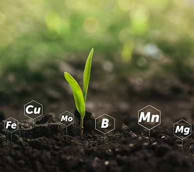 Micronutrientes-Desktop