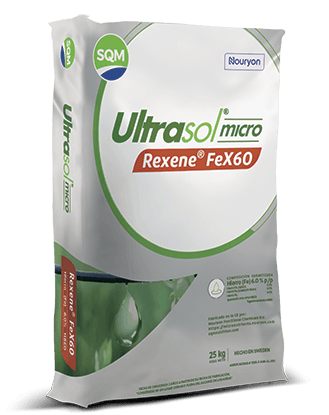 177-Saco-25kg-Ultrasol-micro-rexene-FeX60-EC-PE-3d