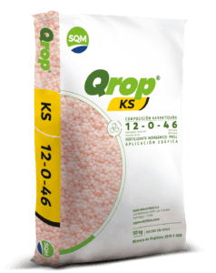 EC01-000039-Saco-50kg-CORP-Qrop-KS-Prill-Rosa-PE-3D-2