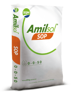 Saco 25kg CORP Amisol SOP VEN 3D