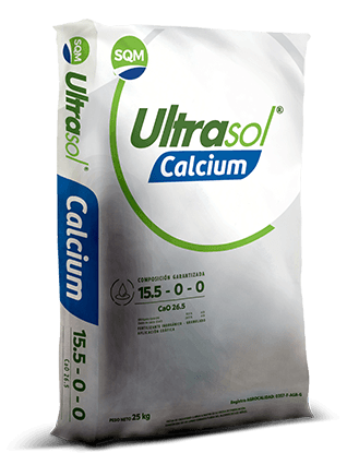 Saco-25kg-CORP-Ultrasol-Calcium-ECU-PE-3d-1