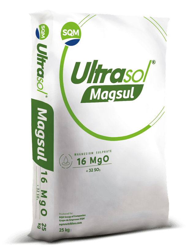 Saco-25kg-CORP-Ultrasol-Magsul-Chinese-Indian-PE-FPR-3D