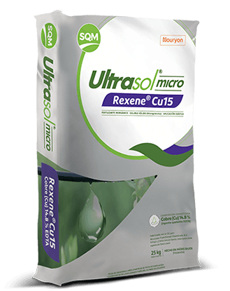 Saco-25kg-Ultrasol-micro-Cu15-EC-MX-PE-3d