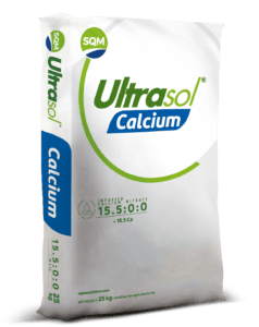 ultrasol-calcium-india-25kg-saco-3d