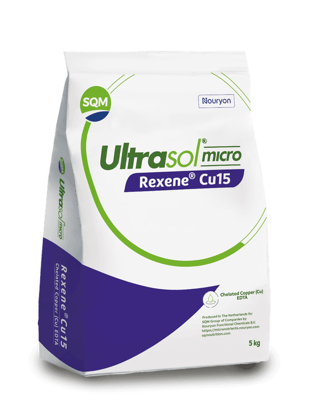 ultrasol-micro-rexene-cu15-zaf-5kg-saco-3d