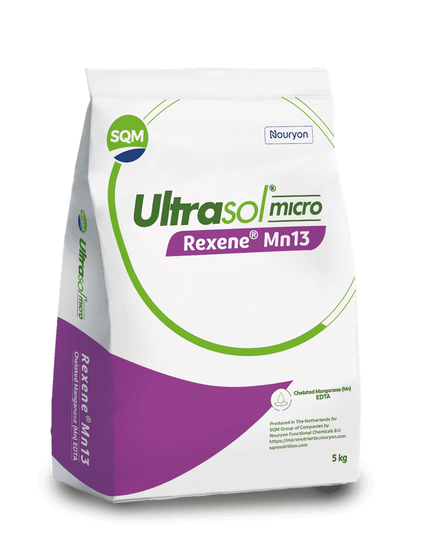 ultrasol-micro-rexene-mn13-zaf-5kg-saco-3d